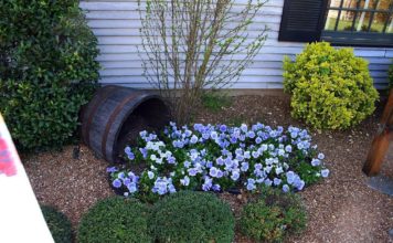 Як прикрасити клумбу: прості і незвичайні ідеї для дачі